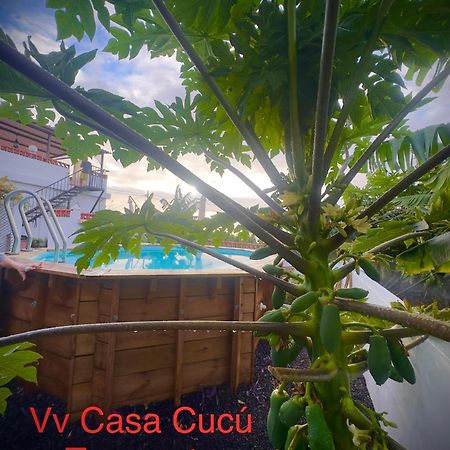 Casa Cucu Βίλα Tazacorte Εξωτερικό φωτογραφία